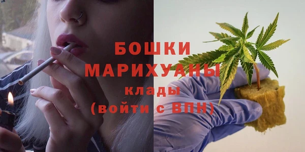 бошки Алексин