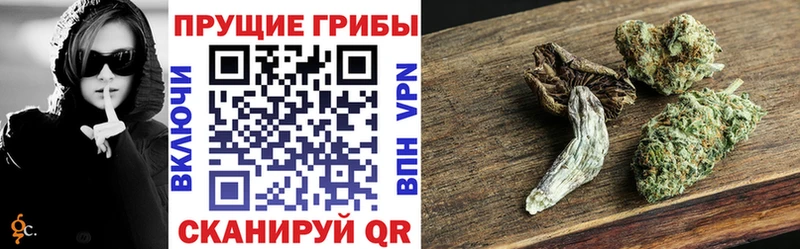 купить наркотик  Лаишево  Галлюциногенные грибы Psilocybe 